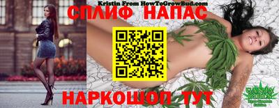 гашишное масло Можга