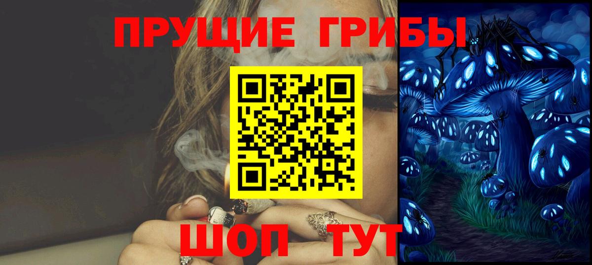 Псилоцибиновые грибы GOLDEN TEACHER Электросталь